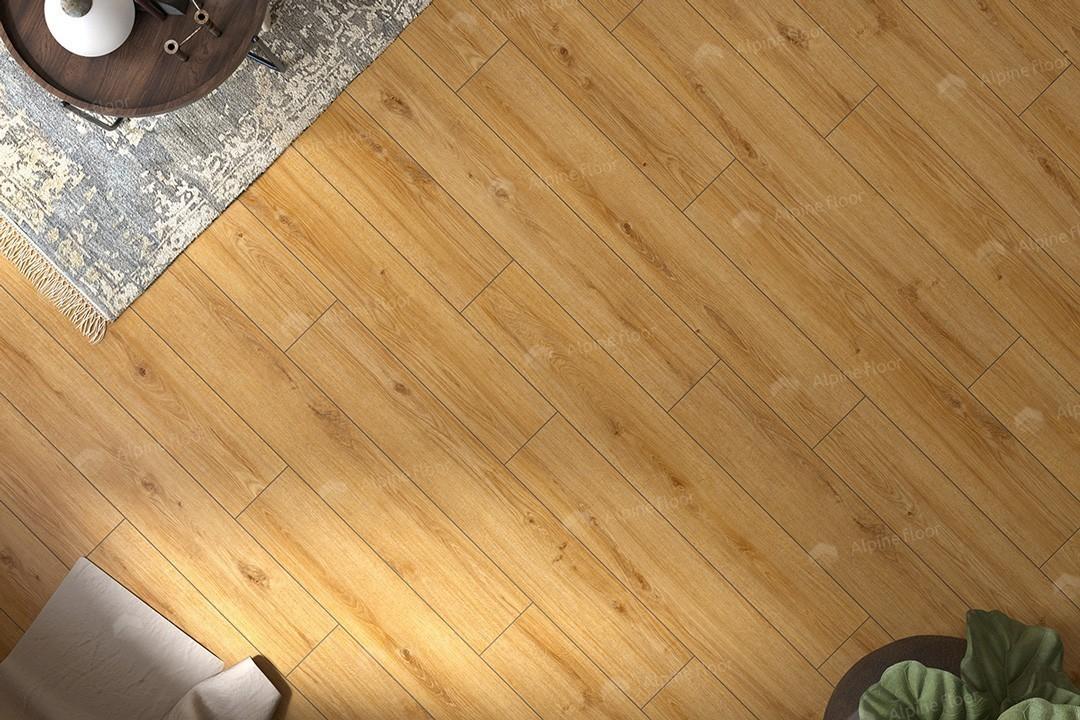 https://bitrix.alpinestore.su/upload/iblock/17a/gkiaizijk8nrkj25n2rw48rb4u3ei2dl/62756_2w.jpg