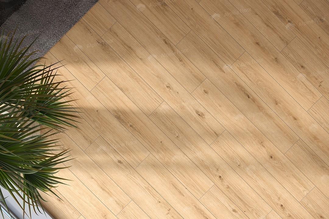 https://bitrix.alpinestore.su/upload/iblock/e66/1y70539hiij28x4bhg8ss7k7rhcadyc5/62757_2w.jpg