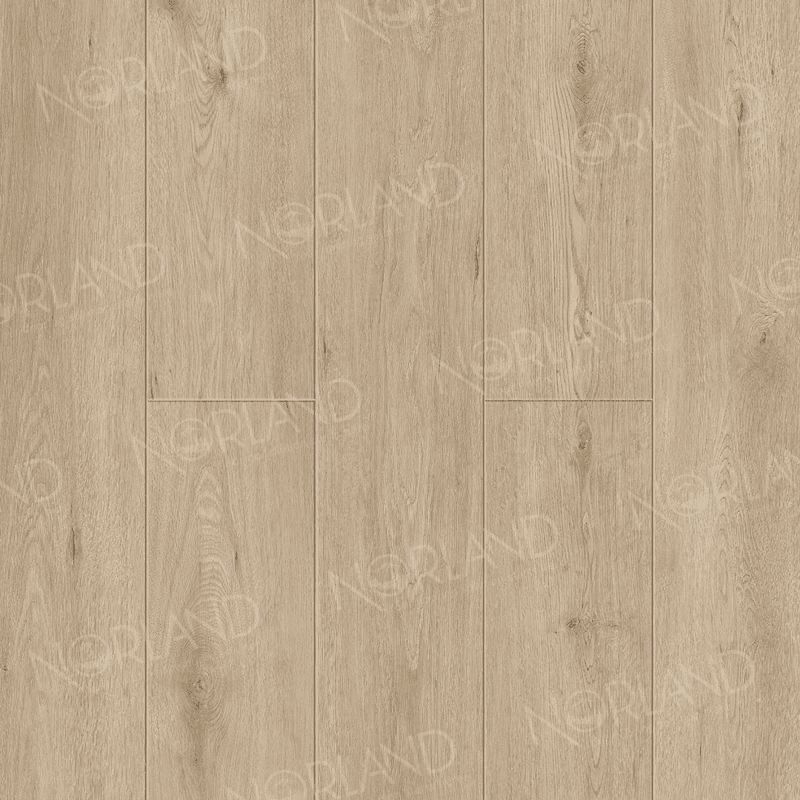 https://bitrix.alpinestore.su/upload/iblock/068/3inquwo8x4ugqxjbxyns3lns6w8fvg4e/1008_1_panno.png