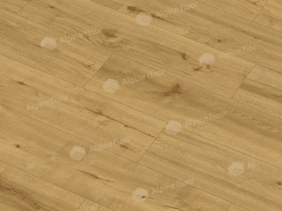 https://bitrix.alpinestore.su/upload/iblock/0d9/30e9l855gfp053c0t49ab99tfuy6x6zq/62543-2-_1_.png