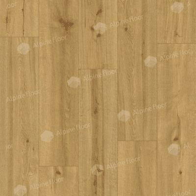 https://bitrix.alpinestore.su/upload/iblock/180/wl8r28ke0veqao3ugskaoy9da9j8cp88/62543-1.png