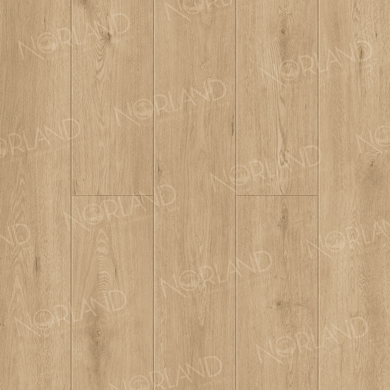 https://bitrix.alpinestore.su/upload/iblock/1dc/wu4oo4jmbxlf1290lnmk0uesifhxd3t4/1008_3_panno.png