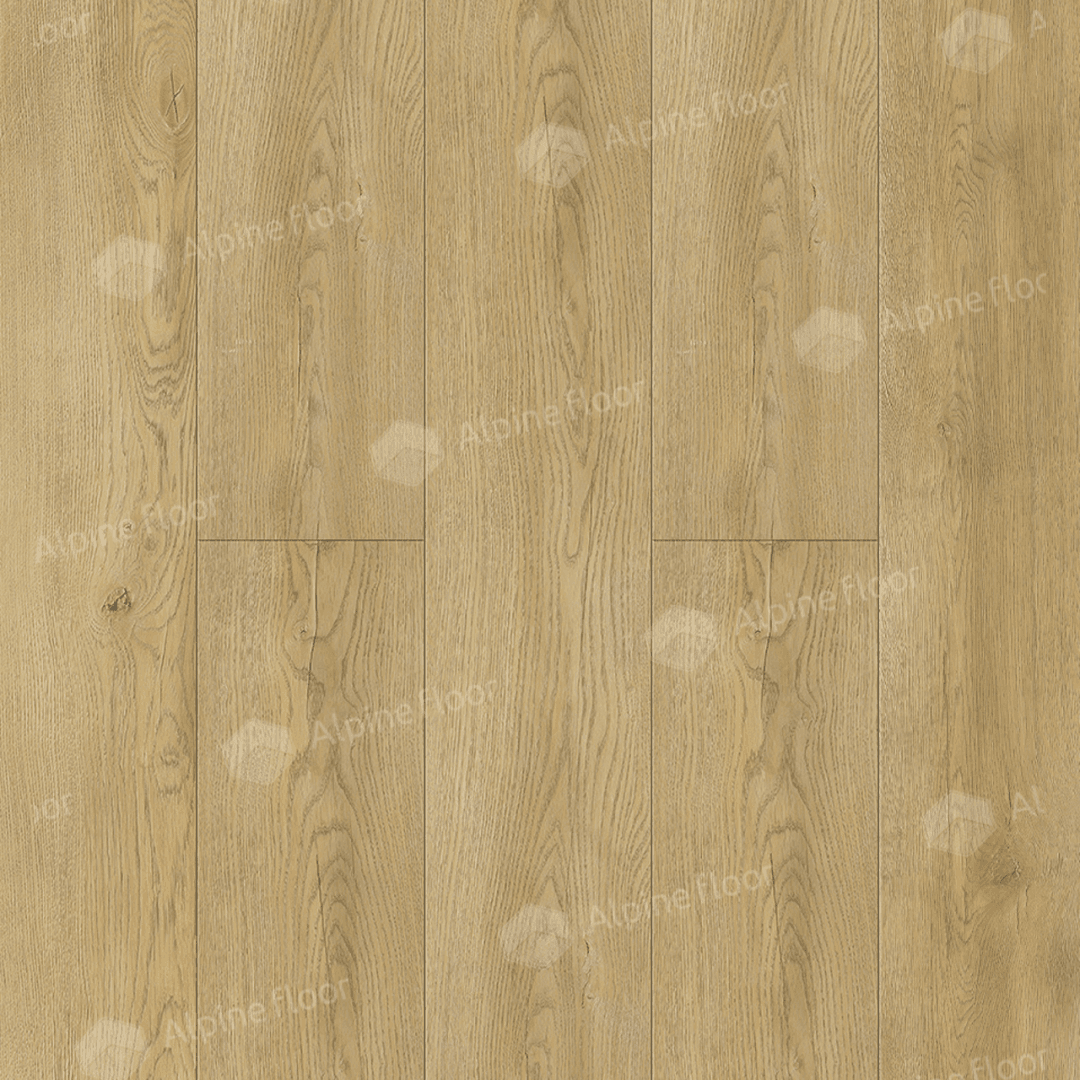 https://bitrix.alpinestore.su/upload/iblock/1e6/gtawjpgt6wlp9mcgxcgjog799m3ed2q9/135_66_MC.png