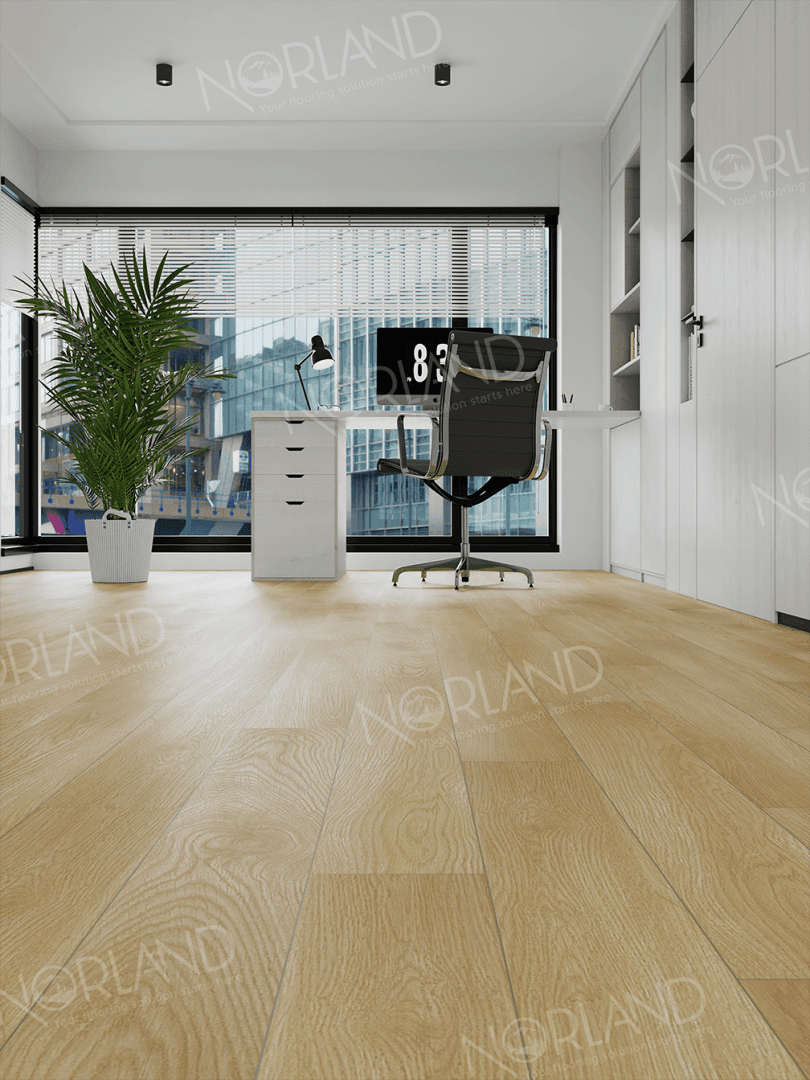 https://bitrix.alpinestore.su/upload/iblock/2bc/147f0dbljdtkhtn95izhhaxy0bo64lqm/LF301_04_11zon.png