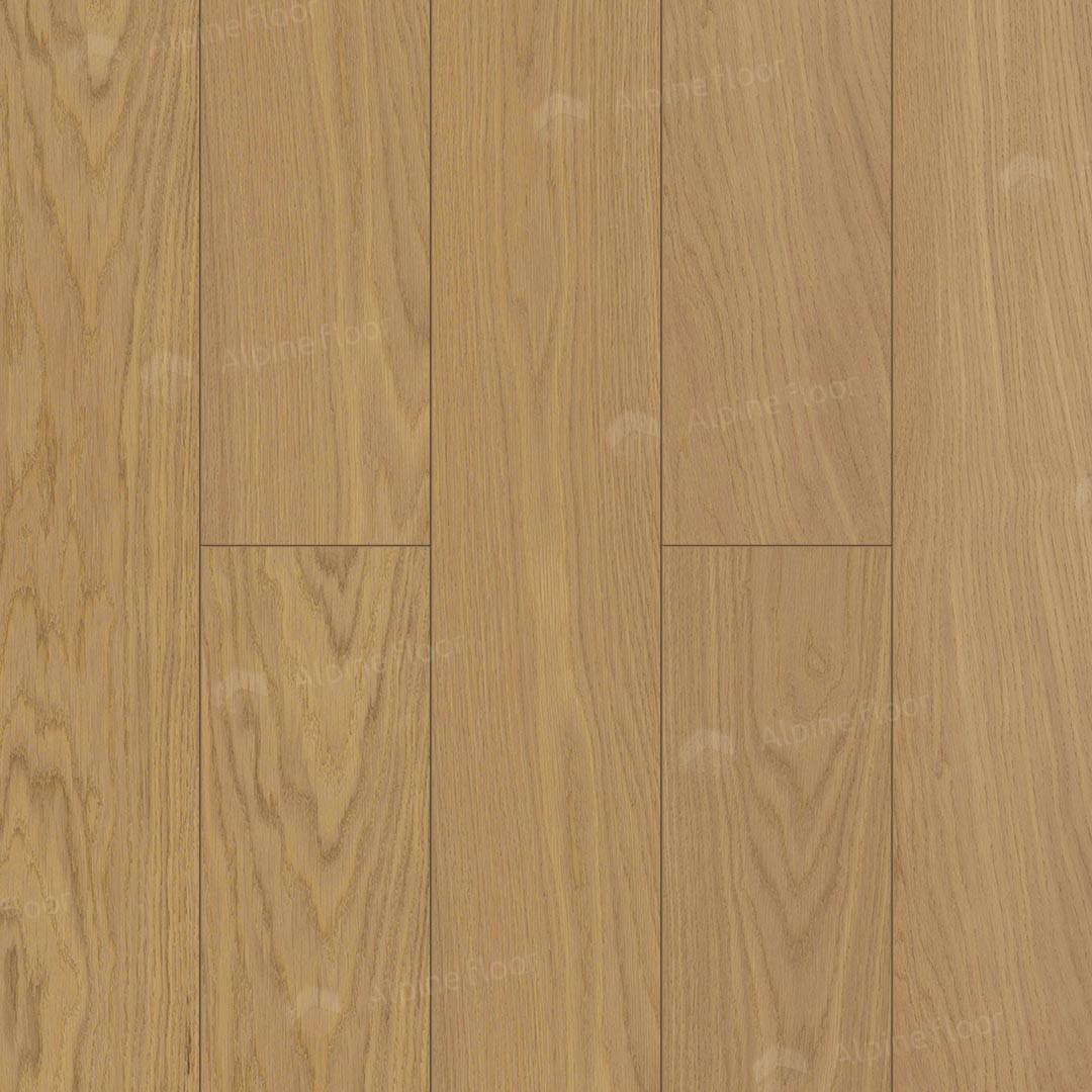 https://bitrix.alpinestore.su/upload/iblock/2f2/57lnp6pmx2mt1hmeyupwyt4phr1p26fb/EW201_02.jpg