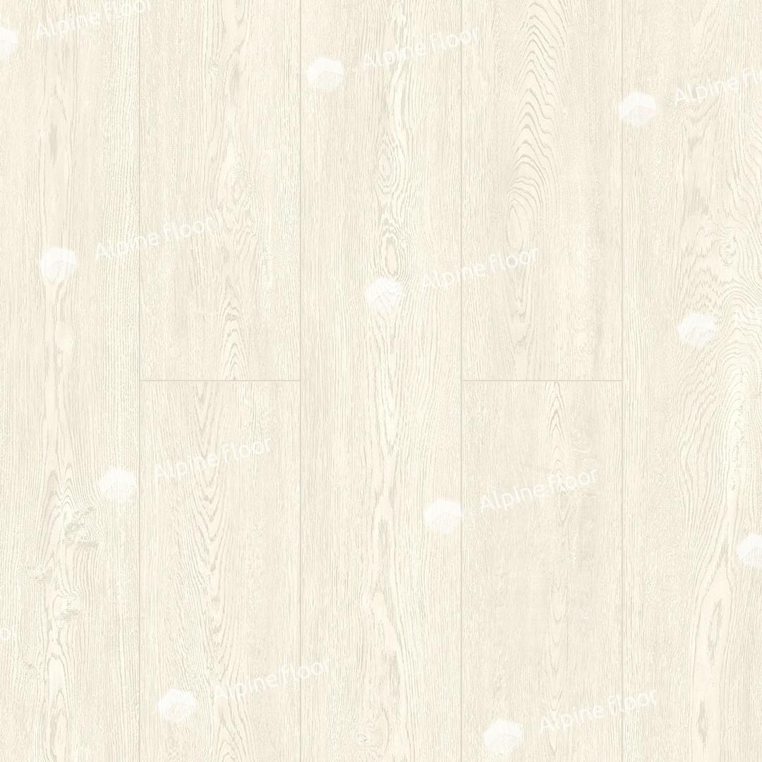 https://bitrix.alpinestore.su/upload/iblock/36b/09_08.jpg