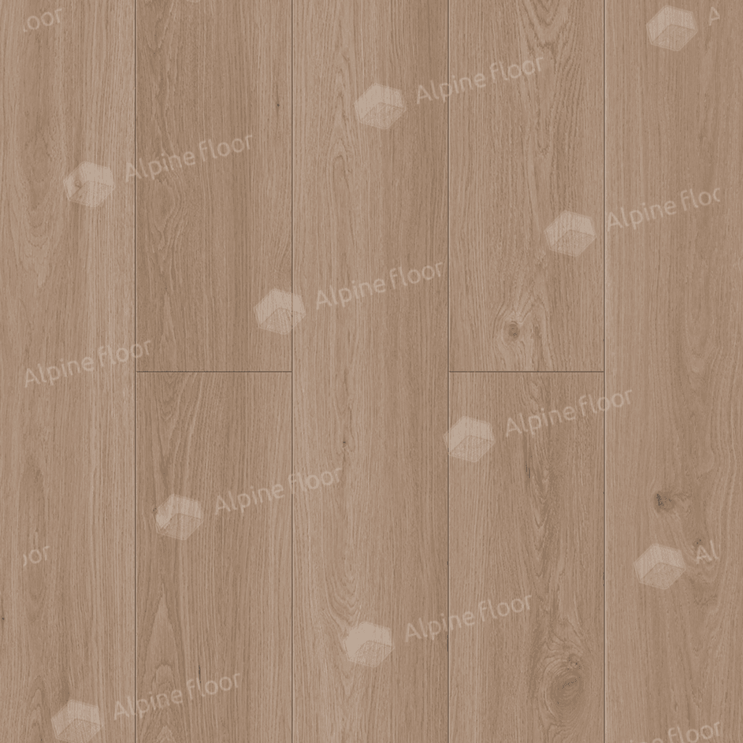 https://bitrix.alpinestore.su/upload/iblock/390/1ygw0j6akucg9f8sipziceguj0t9skv3/5_28_pano.png