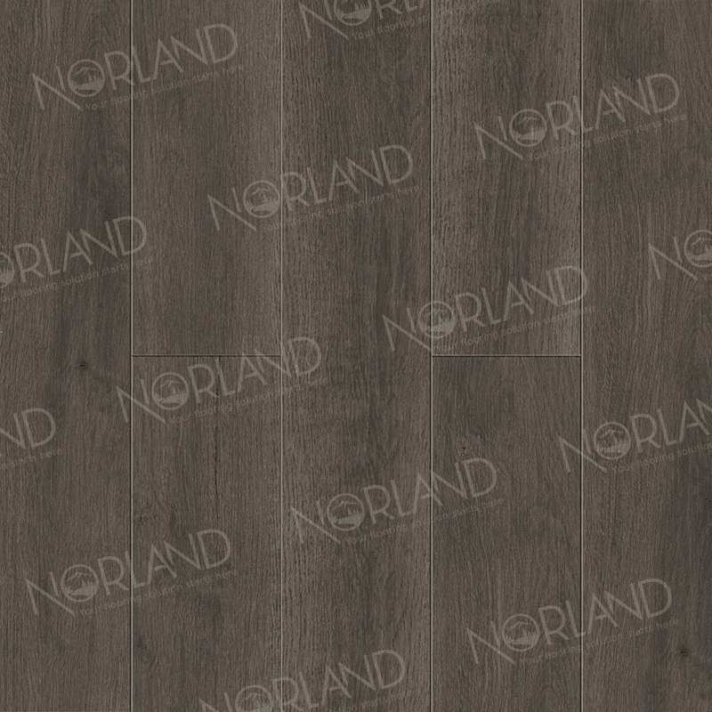 https://bitrix.alpinestore.su/upload/iblock/403/rmiuqrdcd3bu3qbtmvhjbhcdld3u6cao/1006_2_panno.png