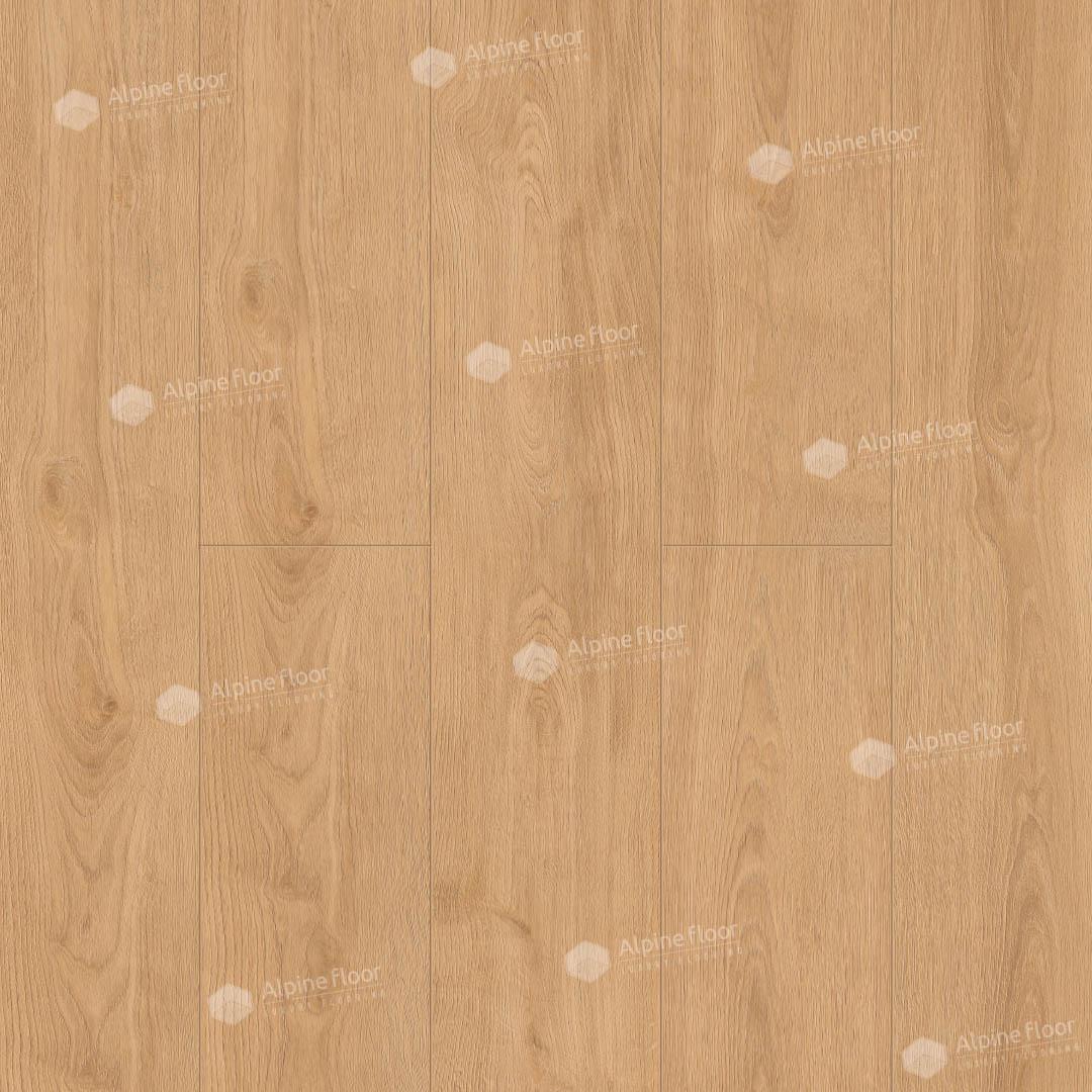 https://bitrix.alpinestore.su/upload/iblock/430/qpccg6etj7jagfqo2t8hg2n5j3qhdode/64636.jpg