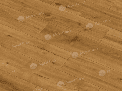 https://bitrix.alpinestore.su/upload/iblock/4e6/nne2qhp0cs1lazmt0j0oifkjzkbplf30/62544-2.png