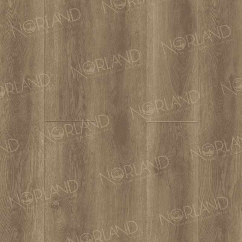 https://bitrix.alpinestore.su/upload/iblock/52e/b66acwe6u5smkdqyfcnjxzj07a3w0syf/2001_8_pano.png