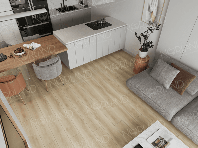 https://bitrix.alpinestore.su/upload/iblock/55c/130qzu8q2dzlv5pfbj9atgjz5h13zydu/2001_11-_2_.png