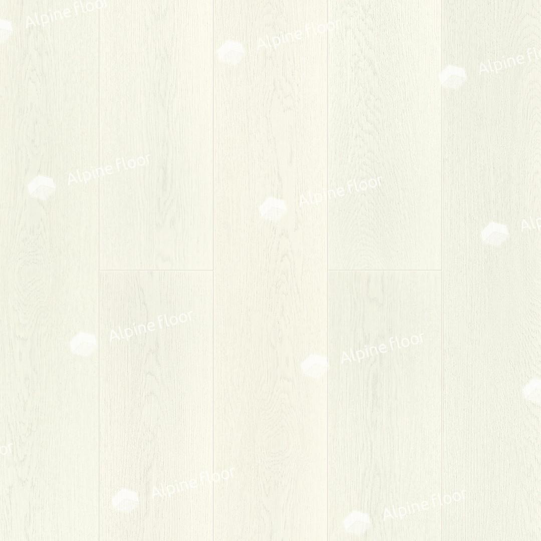 https://bitrix.alpinestore.su/upload/iblock/6b6/11_21.jpg