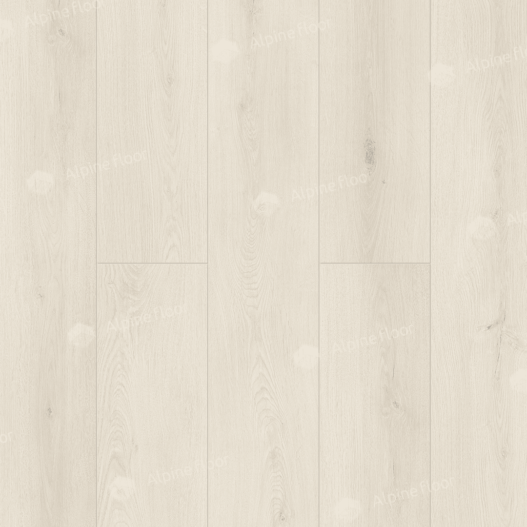 https://bitrix.alpinestore.su/upload/iblock/7b5/11_25.png