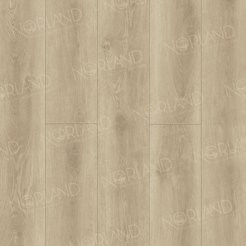 https://bitrix.alpinestore.su/upload/iblock/7c9/517rjfjsa88206uelw5pt2hvo8r23tif/2001_11_pano.png