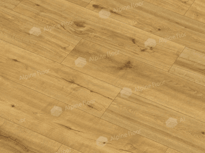 https://bitrix.alpinestore.su/upload/iblock/842/yz7hxr2bqhc9uvui8u1ul5udy3zvedha/62538-2.png