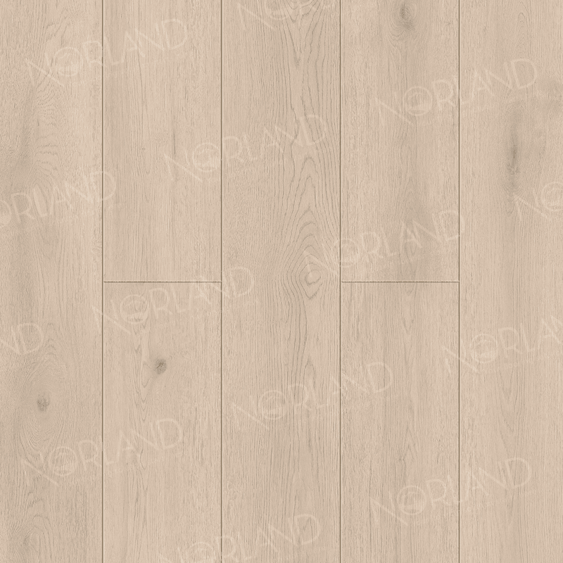 https://bitrix.alpinestore.su/upload/iblock/880/xud9voyaii7wuv15t1yqfd66xglikqww/1008_5_panno.png