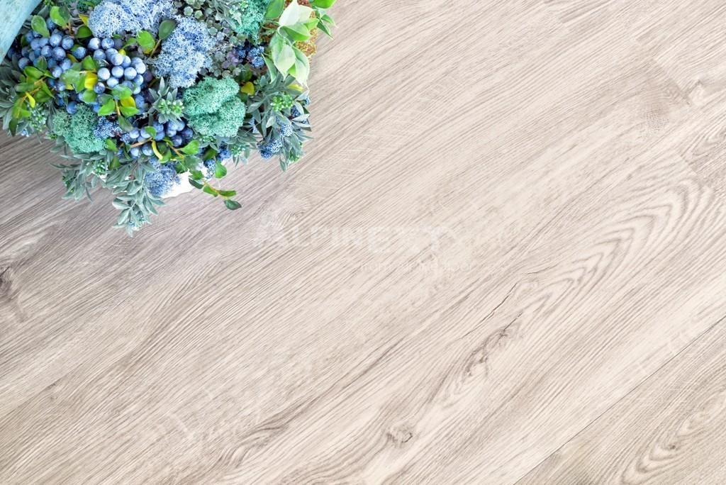 https://bitrix.alpinestore.su/upload/iblock/8c8/DSC_1261-kopiya.jpg