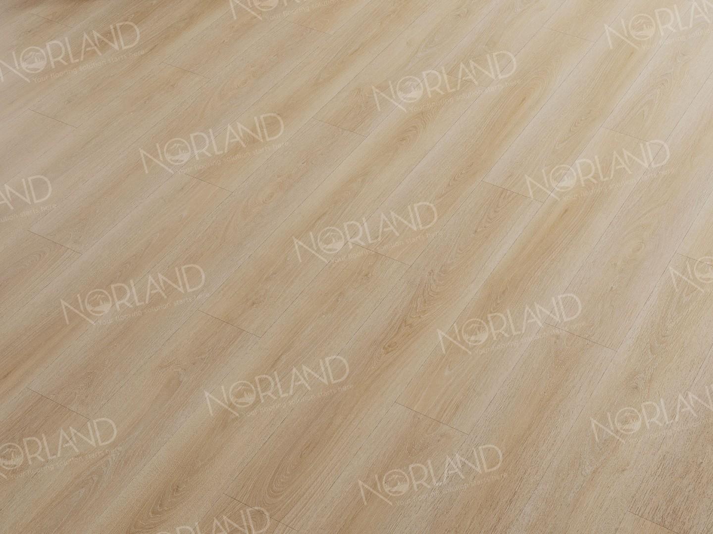https://bitrix.alpinestore.su/upload/iblock/958/kb1o7fje8wdgws89kcd5g66x751w1l5l/1003_06_4_1.jpeg