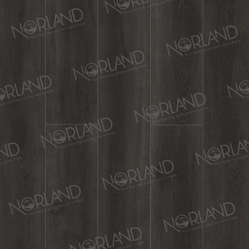 https://bitrix.alpinestore.su/upload/iblock/9fd/79swro7yd4hbxbk3jx1niigl0to79llz/2001_5_pano.png