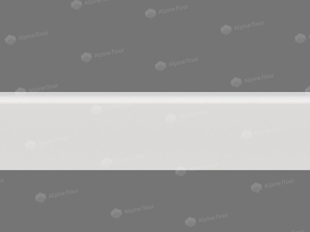 https://bitrix.alpinestore.su/upload/iblock/a91/q2jdw291137bzn6w5c87gdyv50jb8qrt/TL019045_004.jpg