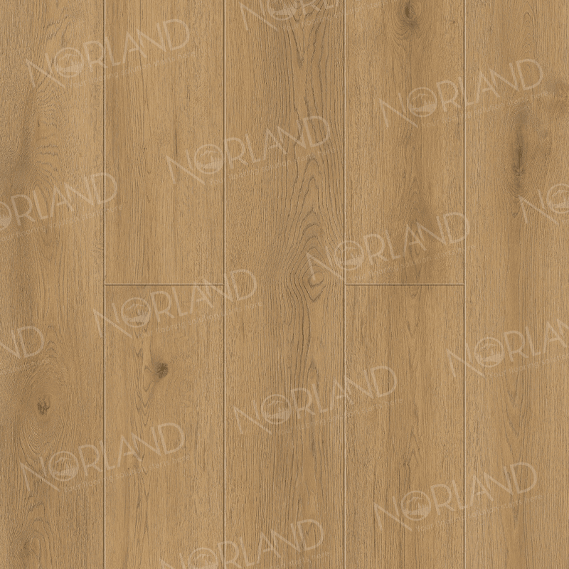 https://bitrix.alpinestore.su/upload/iblock/b22/qfvvkhxiy5q6ze3b6pnyg74kbw4x2ja6/1006_10_panno.png