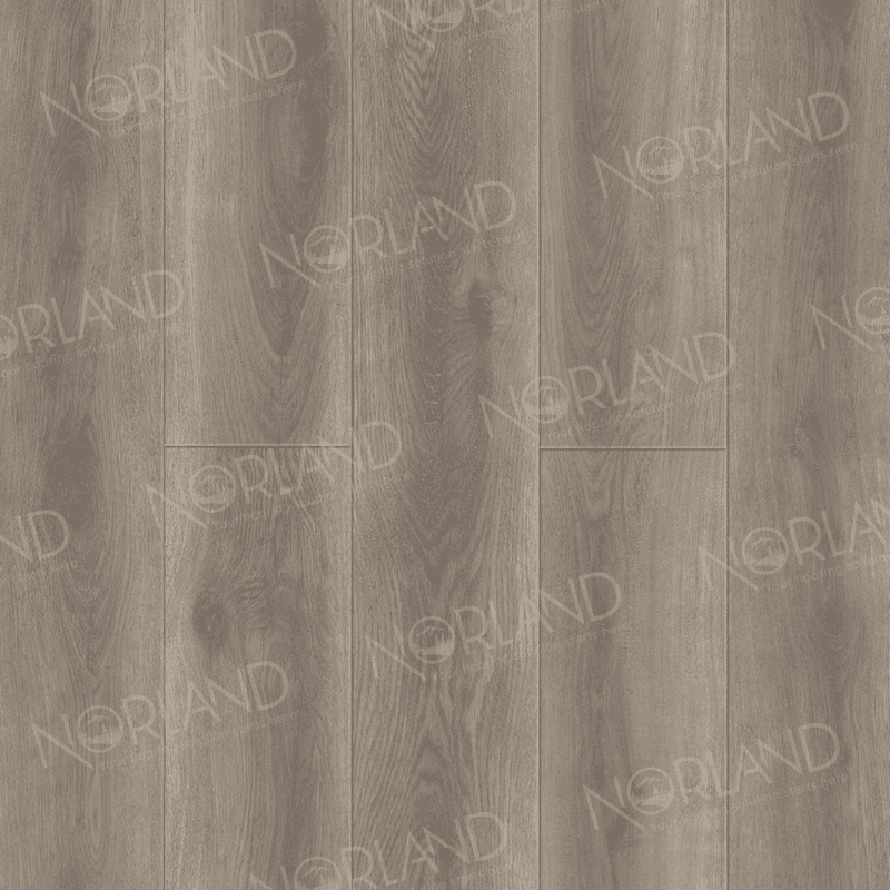 https://bitrix.alpinestore.su/upload/iblock/b25/i47mz58im4dvbfpiege8nkm444ud01o7/2001_6_pano.png