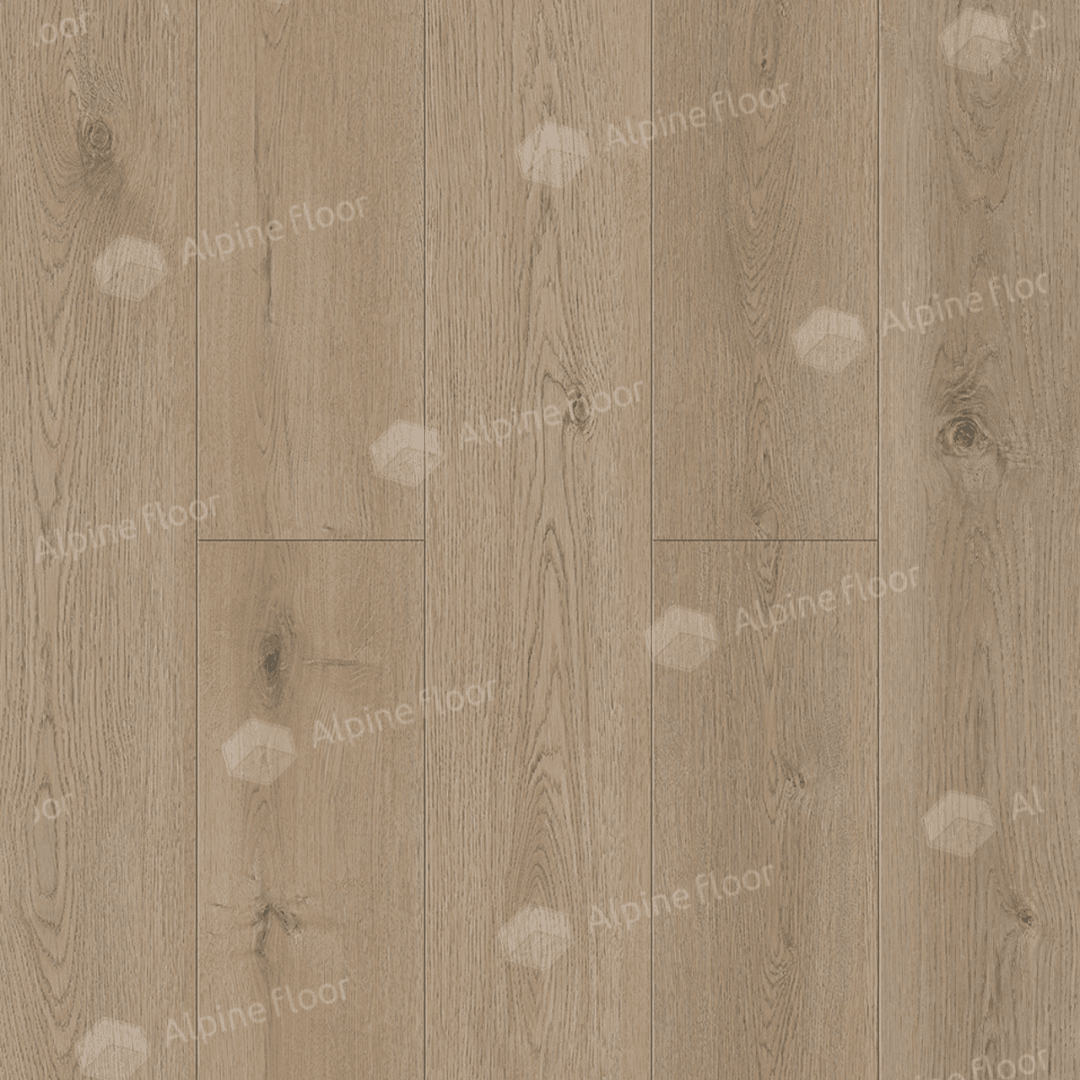 https://bitrix.alpinestore.su/upload/iblock/b94/qrztfkqhxbzw5d6tduez3peftrmedicf/3_27_pano.png