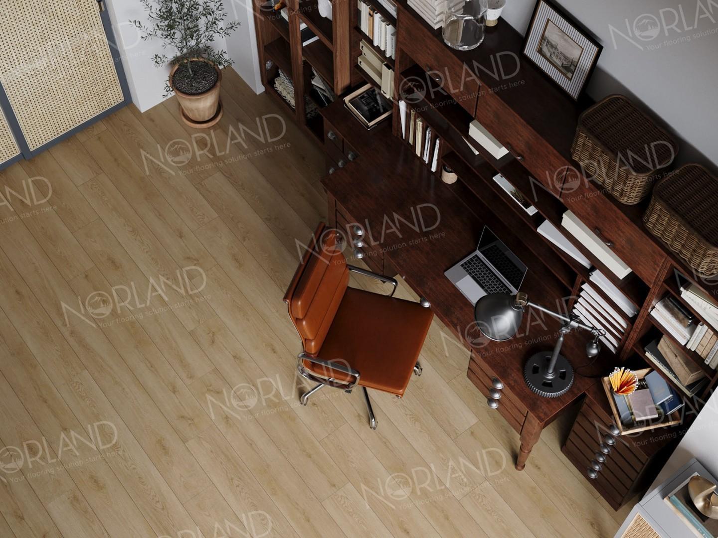 https://bitrix.alpinestore.su/upload/iblock/c24/5vuzida8bs32y5j1xfdp2qd7k4p1g2n4/1003_21_2_1.jpeg