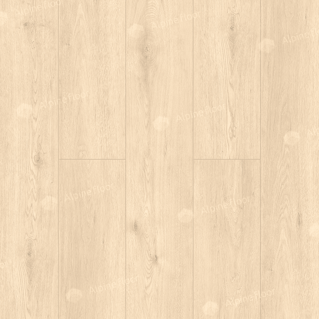 https://bitrix.alpinestore.su/upload/iblock/cf4/11_23.png