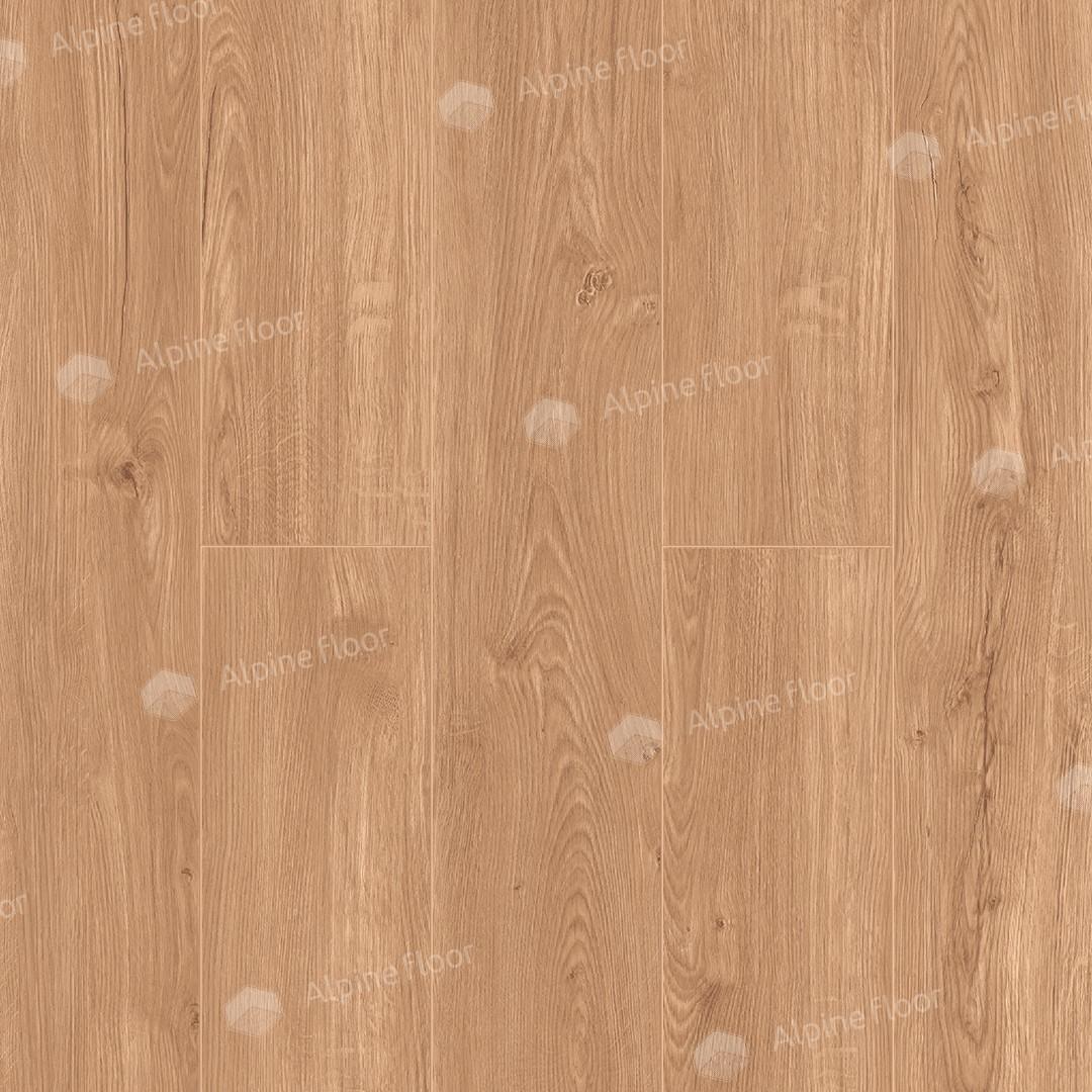 https://bitrix.alpinestore.su/upload/iblock/d0f/06_04.jpg
