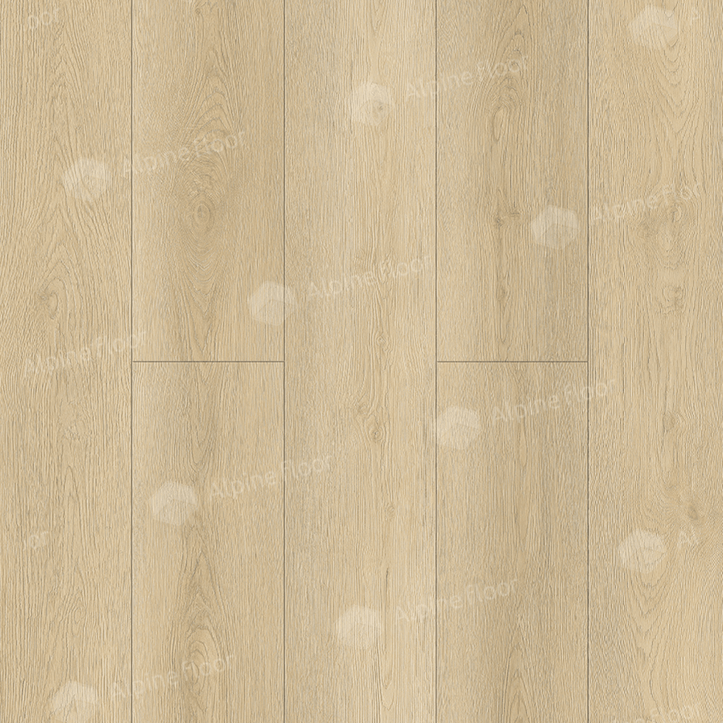 https://bitrix.alpinestore.su/upload/iblock/d95/wqwkvudwcxvju9xi3pmwh7r41b8myq52/912pano.png