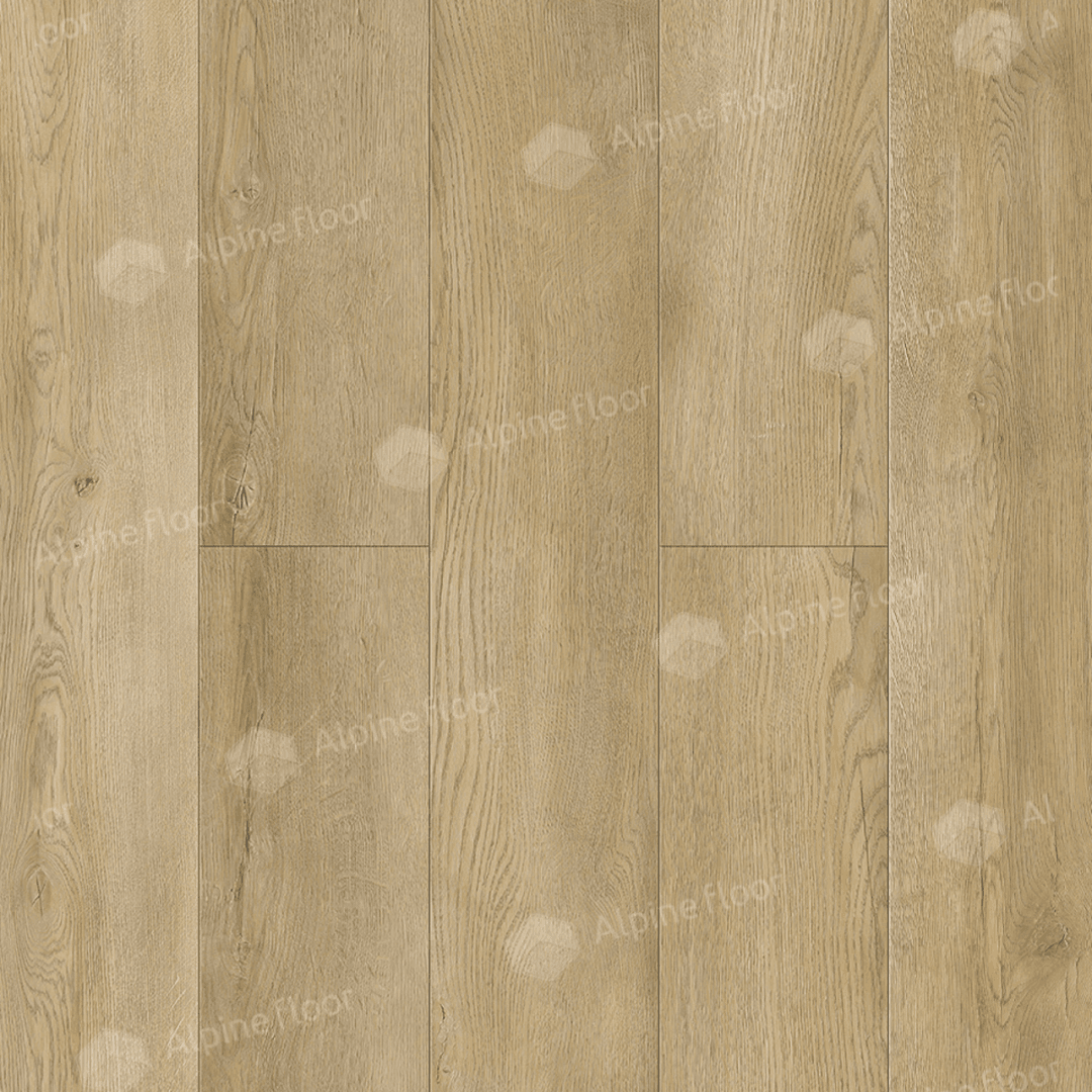 https://bitrix.alpinestore.su/upload/iblock/dde/5o837kgvlk5evg944ff98u46lf017mjw/5_33_pano.png