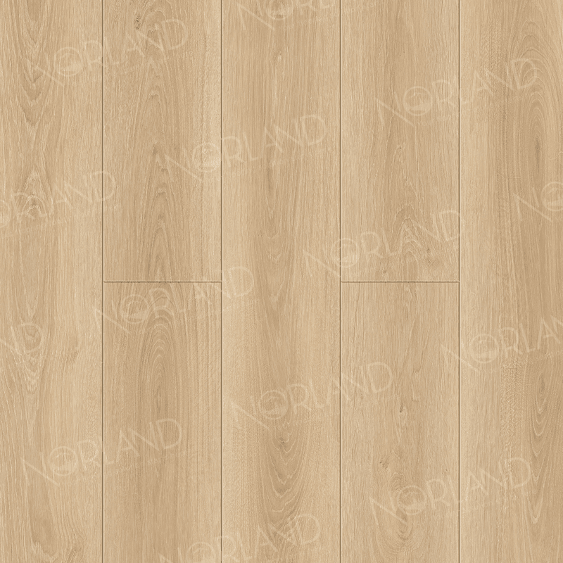 https://bitrix.alpinestore.su/upload/iblock/de5/5q42mc1ogdrmsj0rgpl9gxcx8gb3xlps/1008_6_5panno.png