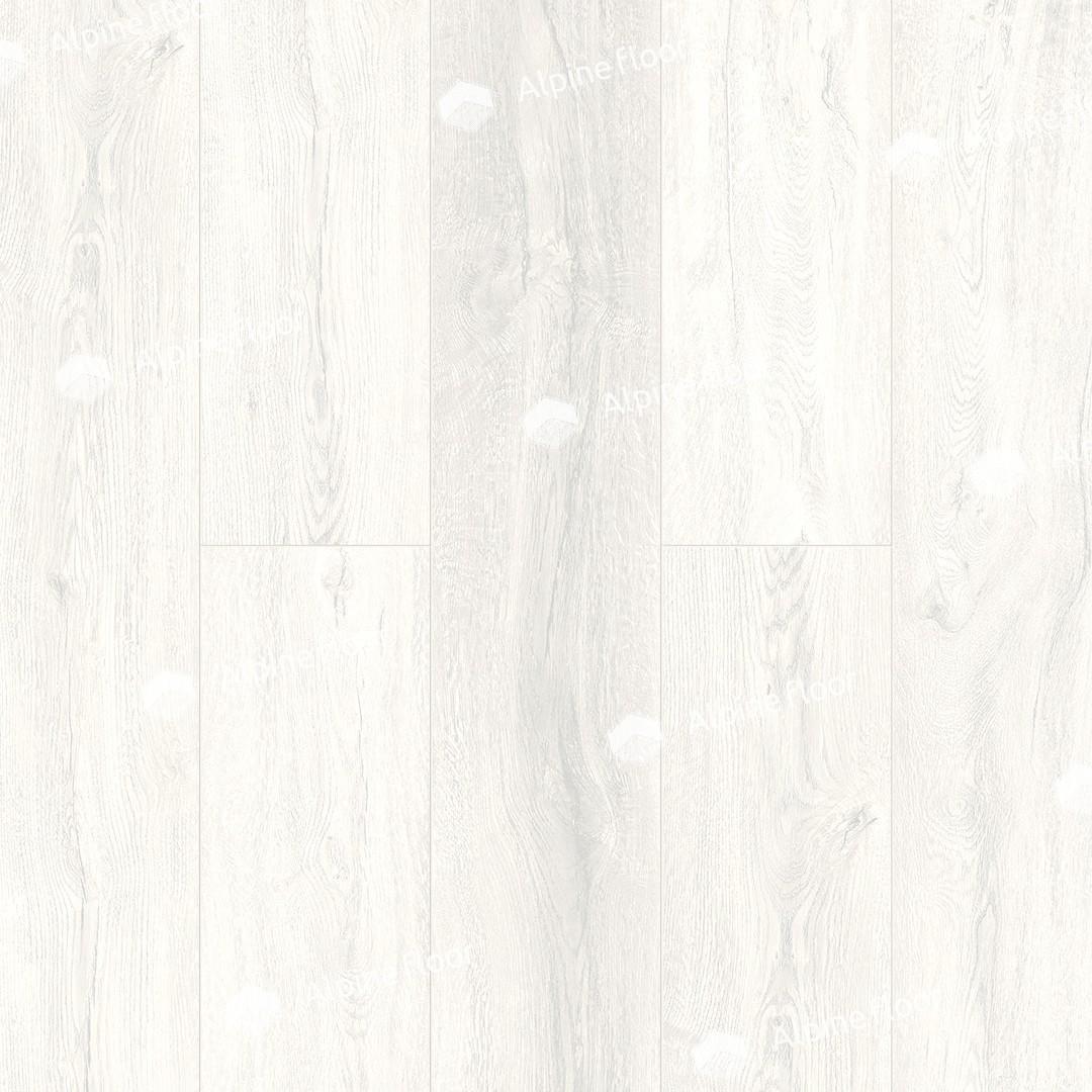 https://bitrix.alpinestore.su/upload/iblock/e04/09_09.jpg