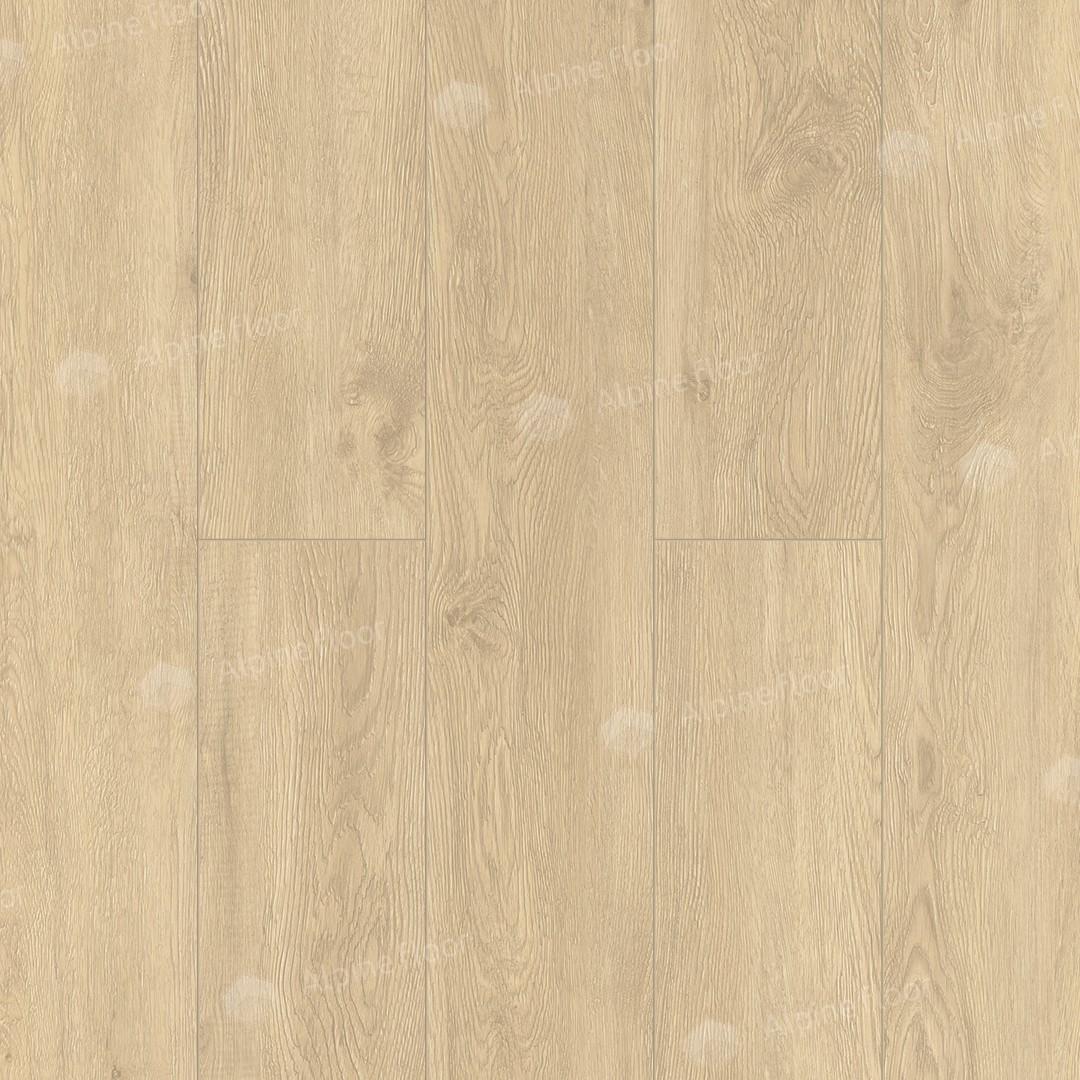 https://bitrix.alpinestore.su/upload/iblock/e2b/8px0m2ewhu01dah6u6cnn1fm6rgyc7wh/11_503.jpg
