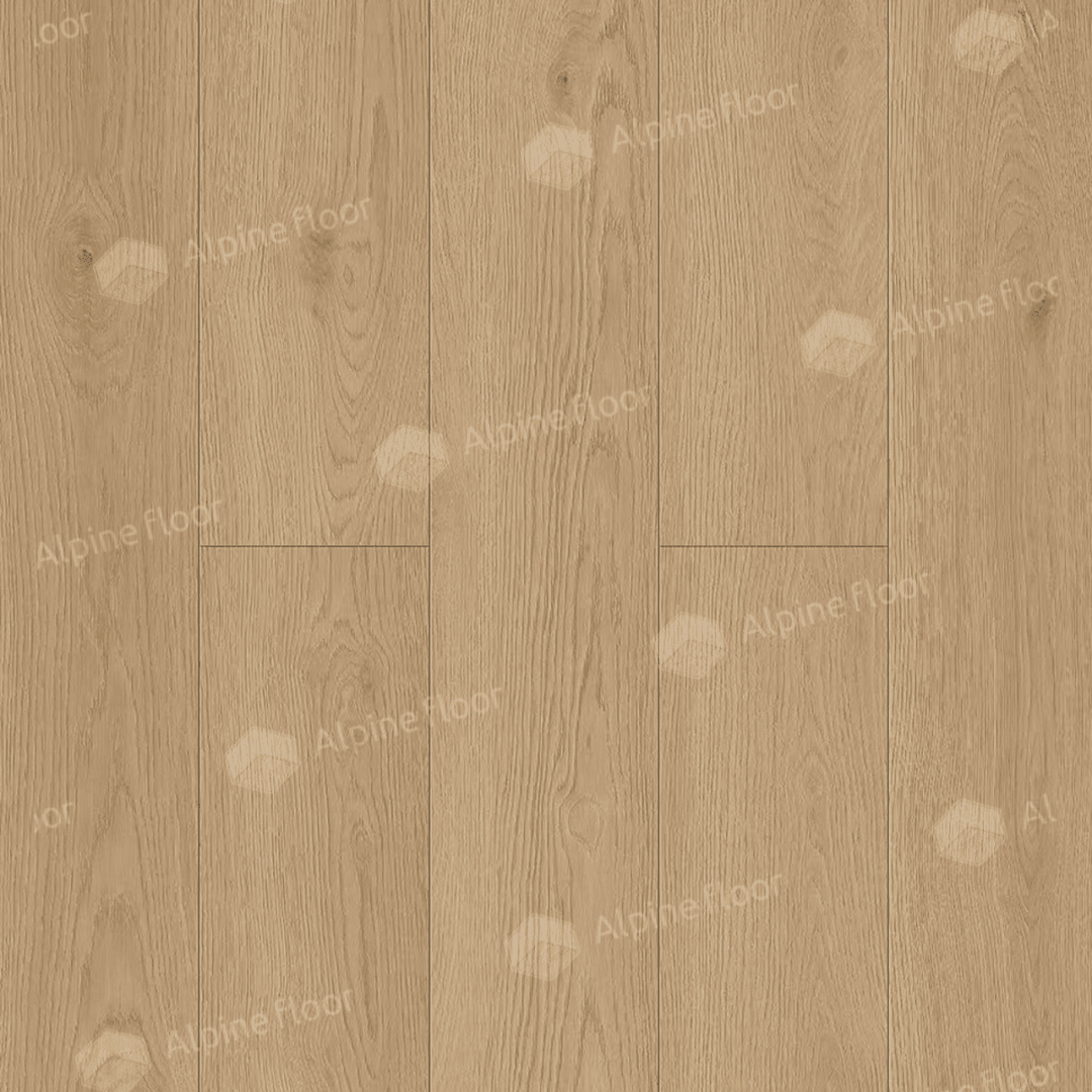 https://bitrix.alpinestore.su/upload/iblock/e2e/citqg1xevbmyg2dle123cnaz39ea5tlg/3_37_pano.png
