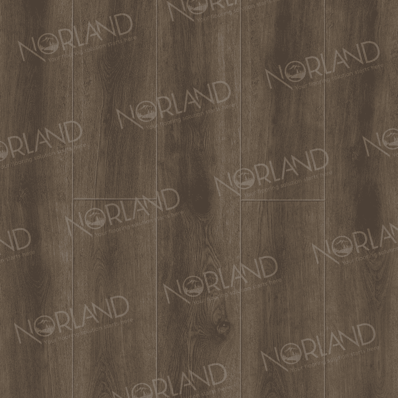 https://bitrix.alpinestore.su/upload/iblock/e83/e6go7f58ed12857r858s0nd98nopajks/2001_10_pano.png