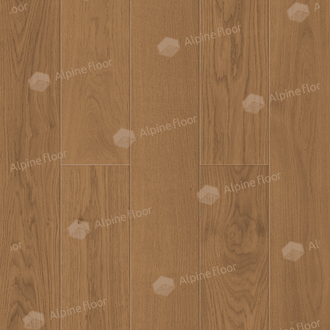 https://bitrix.alpinestore.su/upload/iblock/e8c/gv8s8f3vq06fezdw213u1222fagq7tgn/201_13.png