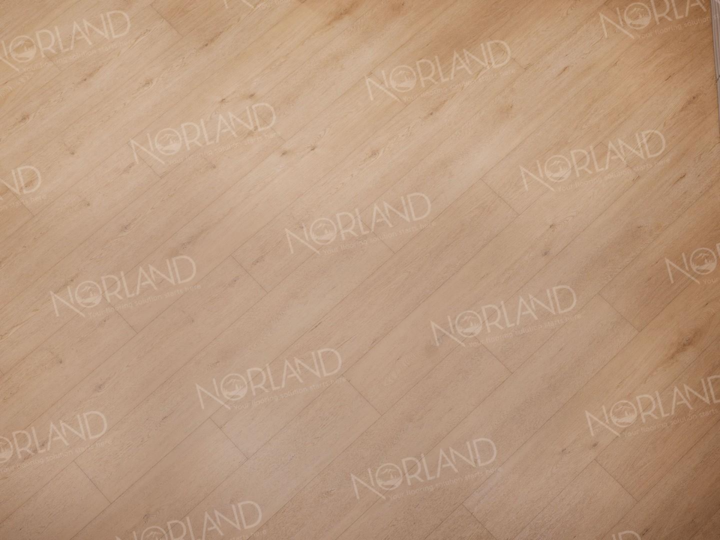 https://bitrix.alpinestore.su/upload/iblock/ecd/9cod4o6keraqgwcxvz0tkqc4knrdsth7/1003_03_4_1.jpeg