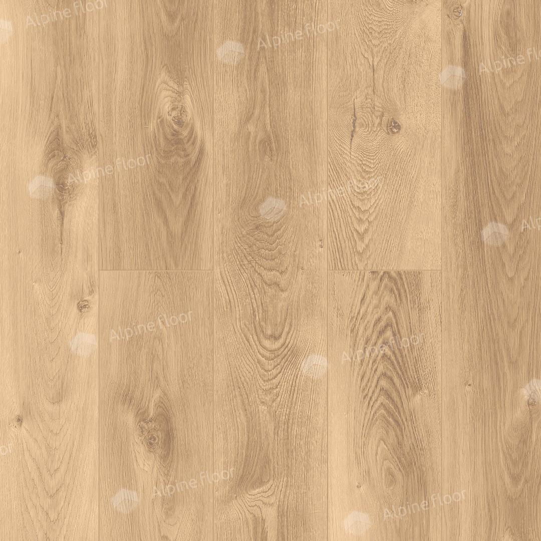 https://bitrix.alpinestore.su/upload/iblock/f05/07_06.jpg