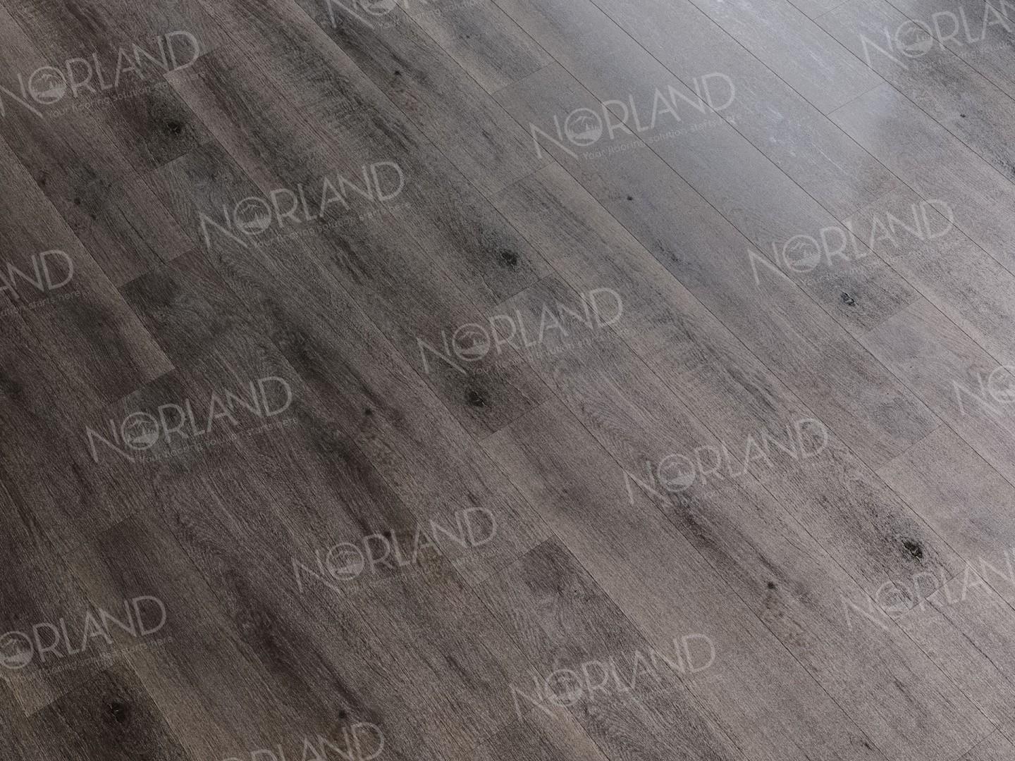 https://bitrix.alpinestore.su/upload/iblock/f19/jtrd3ht8jok2bhk0hhyc2hw9g9gbsf1e/1008_07_4_1.jpeg