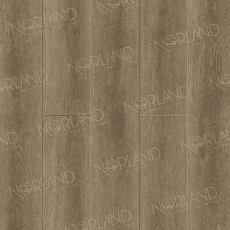 https://bitrix.alpinestore.su/upload/iblock/f50/nbz7ejeitzebd3f3gk11xc4yjft2mpq9/2001_3_pano.png