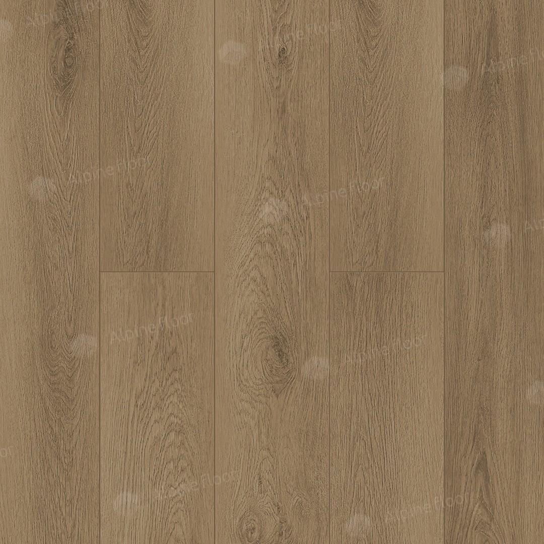 https://bitrix.alpinestore.su/upload/iblock/f61/11_19.jpg