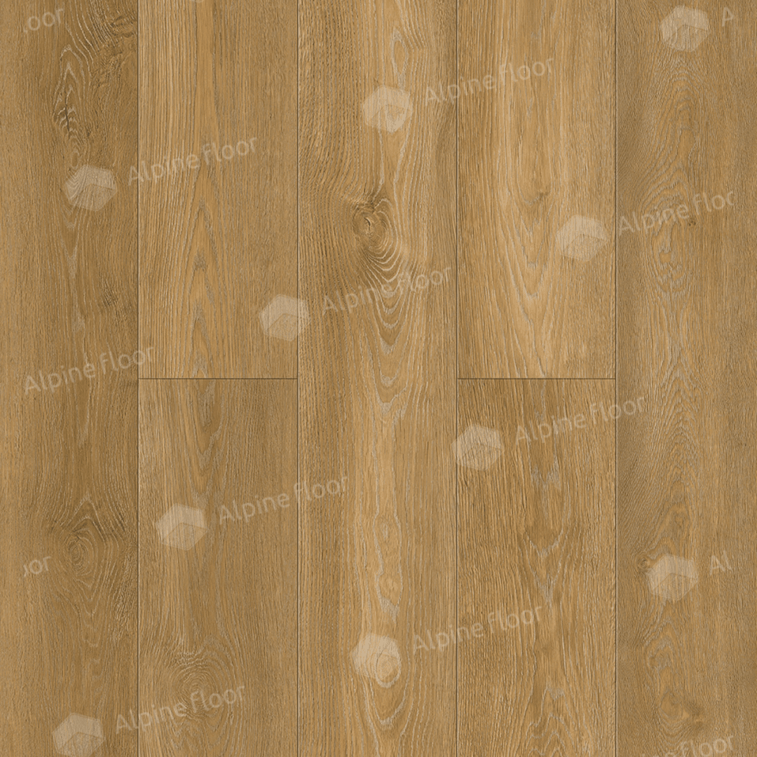 https://bitrix.alpinestore.su/upload/iblock/f85/d0m3e14yrd3tmxf9dz3xcsh77nysnd79/6_14_pano.png