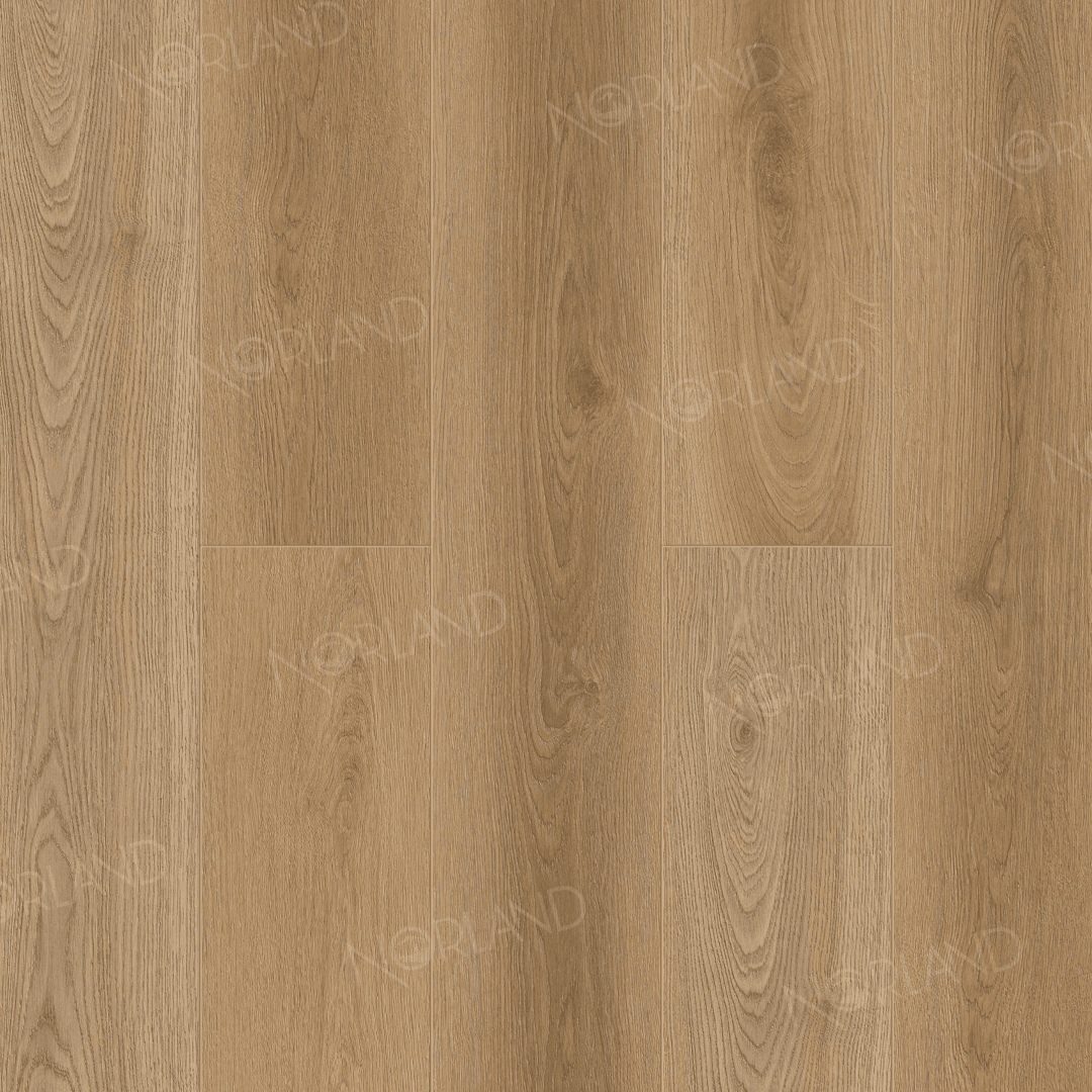 https://bitrix.alpinestore.su/upload/iblock/f9e/ndiq702qvzwanza5pr97576246e1z93l/1003_19_panno.png