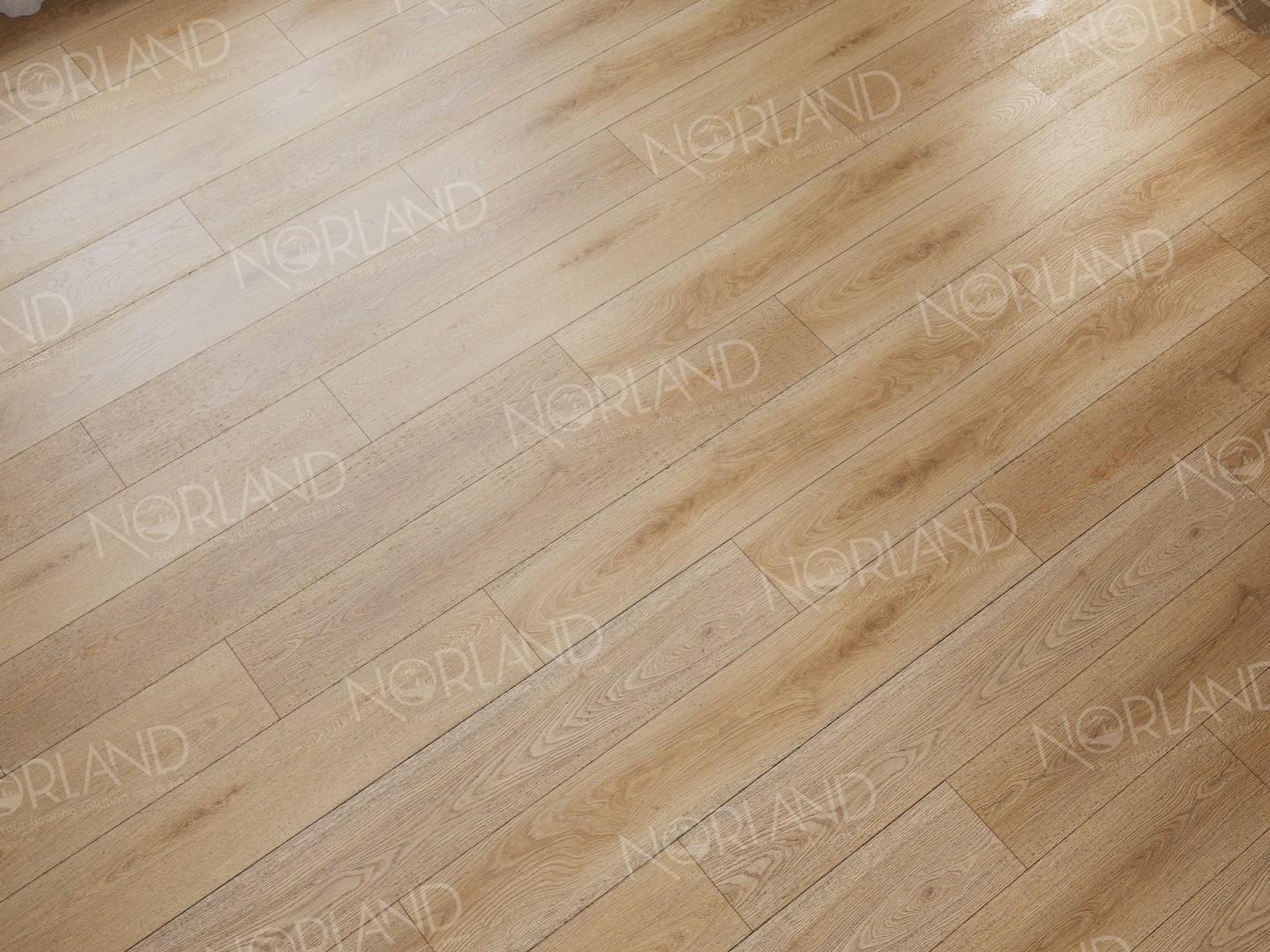 https://bitrix.alpinestore.su/upload/iblock/fc2/p5039z30ej2xxfzgjy4dp7d1yrvpoiwh/1003_19_4_1.jpg