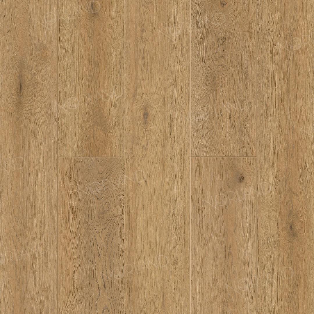 https://bitrix.alpinestore.su/upload/iblock/fce/du971c0icxpa4tsom7goer371nq69288/1003_02_panno.jpeg