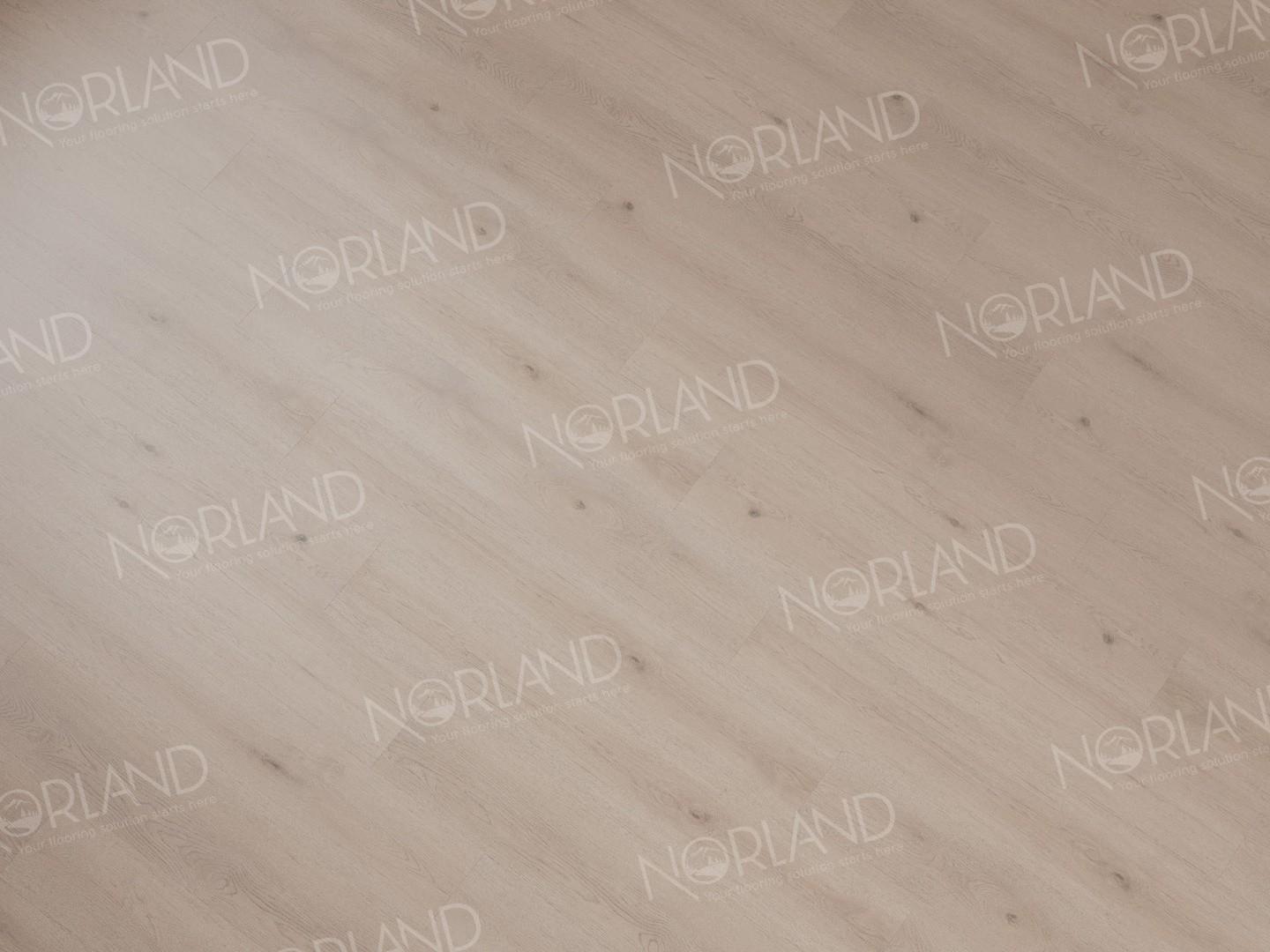 https://bitrix.alpinestore.su/upload/iblock/ffd/s0tnqkn55dsan3pc9k8fgt7me3dl612i/1003_05_4_1.jpeg