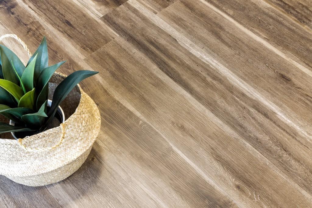 https://bitrix.alpinestore.su/upload/iblock/372/DSC_1908_1.jpg